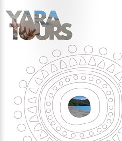 Yara Tours 2014/2015